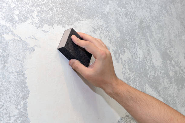 Best Attic Mold Removal  in Capitan, NM
