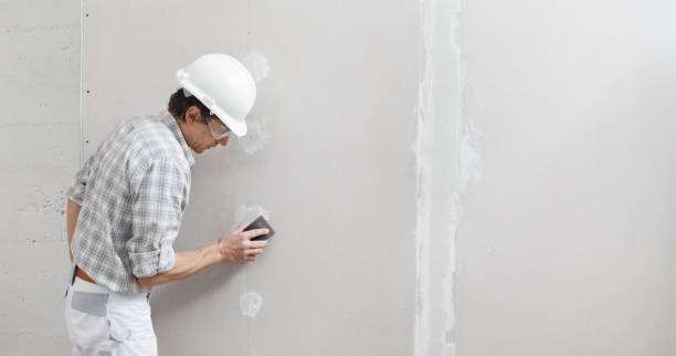 Best Basement Mold Removal  in Capitan, NM