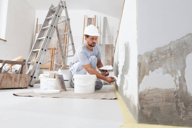 Capitan, NM Mold Removal Company