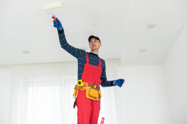 Best Commercial Mold Inspection  in Capitan, NM