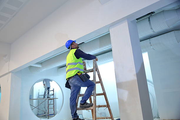 Best Mold Documentation for Insurance Claims  in Capitan, NM
